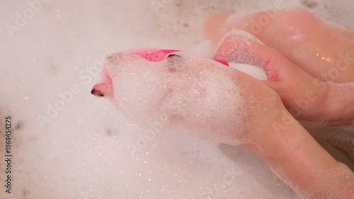 Female hand lowers pink sex toy onto soap suds filling tub, evoking private bathing ritual with added stimulation for ultimate relaxation and personal indulgence