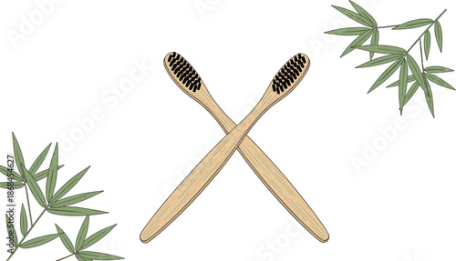 Eco-friendly bamboo toothbrushes crossed in X shape, green bamboo leaves, sustainable dental hygiene concept, natural texture, black bristles, transparent background illustration