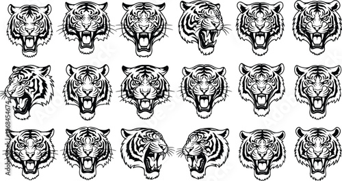 Roaring tiger head illustration set, fierce wild animal faces vector collection with aggressive striped big cat mascot designs