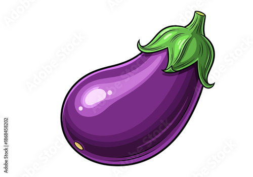 Purple eggplant vegetable