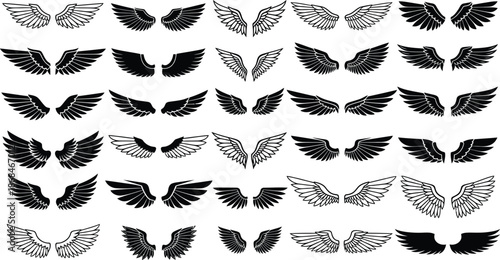 Various Black and White Wing Designs