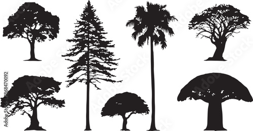 Diverse Collection Of Tree Silhouettes Featuring Deciduous Coniferous And Palm Varieties