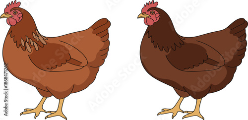 Brown hen illustration set in detailed and flat cartoon styles for organic farm and poultry agriculture concept