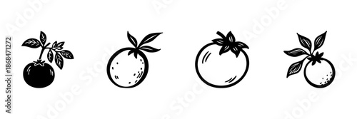 Tomato And Citrus Fruits In Hand Drawn Style Set. Organic Gardening, Fresh Produce, Healthy Eating Doodle Sketch Collection. Botanical Illustration. Isolated Vector Illustration