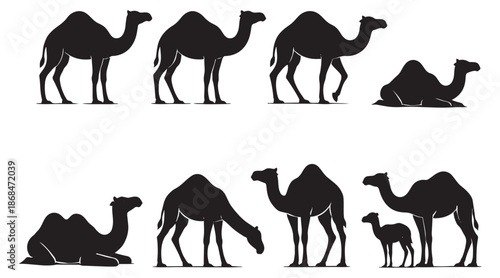 Simple silhouette camel set featuring various poses including adult and baby camels for wildlife and travel designs