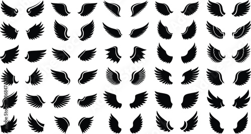 Black Wing Silhouettes Collection