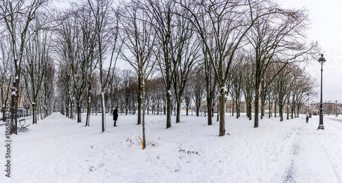 Paris, France - 01 07 2026: Snow flakes. Panoramic view of trees alignment and sidewalk at Esplanade des Invalides under the snow and cloudy sky
