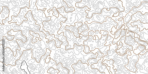 Abstract Topographic Lines Pattern