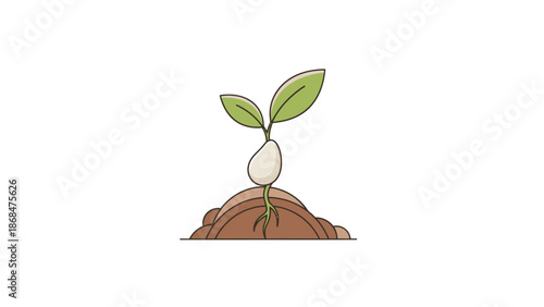 Sprouting seedling emerging from fertile soil with green leaves