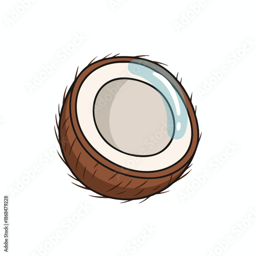 Cracked Coconut Illustration