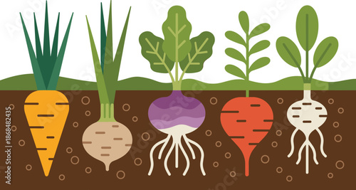 Root Vegetables Growing in Soil: Carrot, Turnip, Radish, Onion, Beetroot, Organic Farming, Healthy Eating, Farm to Table, Garden Harvest, Plant Growth, Botanical Illustration,Natural Food,Root System,