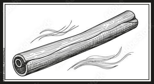 Hand-drawn sketch of a fragrant cinnamon stick in a vintage woodcut or engraving style, isolated on a white background with a black border.