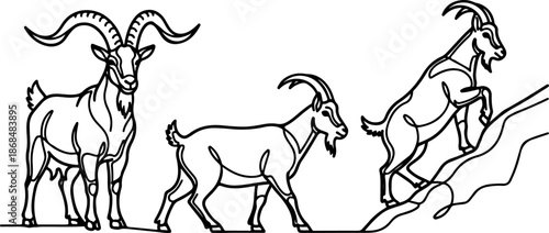 Continuous Line Art Three Goat Poses Farm Illustration