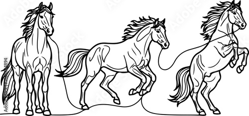 Continuous Line Art Three Horse Poses Power Illustration