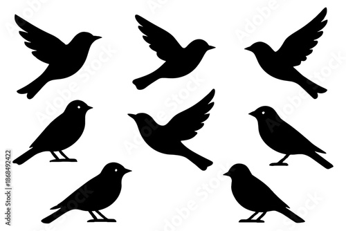 collection of birds,
Bird Silhouettes Collection, Vector Bird Shapes
