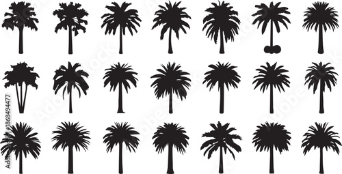 Minimalist Palm Tree Silhouette Icons and Tropical Coconut Tree Symbols Set for Summer Travel and Island Branding.