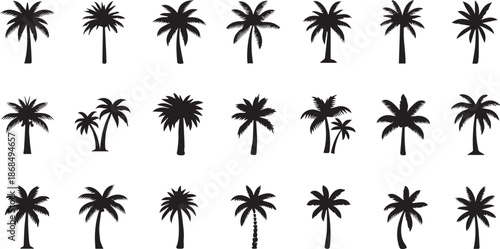 Minimalist Palm Tree Silhouette Icons and Tropical Island Coconut Tree Symbols Set for Summer Travel and Nature Branding.