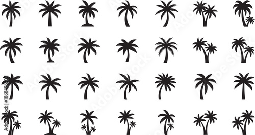 Palm Tree Silhouette Set – Tropical Coconut Tree Icons for Summer Beach and Nature Design
