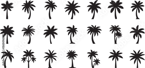 Minimalist Tropical Palm Tree Silhouettes and Exotic Coconut Tree Icons Set for Summer Travel and Island Nature Branding