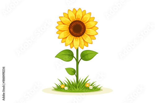 A blooming sunflower highlighted by a spotlight against a white background, showcased frontally for advertising and presentation purposes, created from