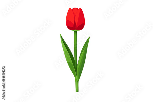 A realistic tulip displayed frontally against a pristine white background, illuminated by a spotlight for product showcase, created from