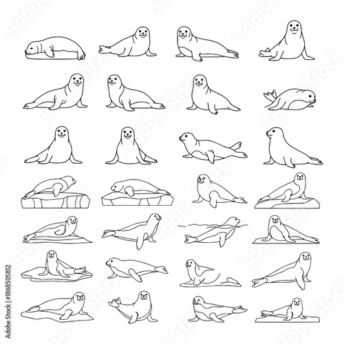 Crabeater seal lies  thin linear silhouette