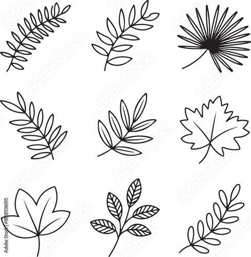 Collection of various leaf illustrations in black and white