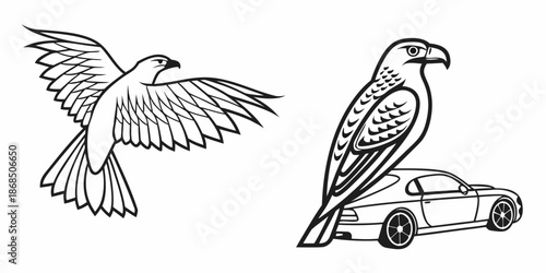 Striking monochrome illustrations showcasing the agility of a raptor in powerful flight and its symbolic strength perched on a sleek, high-performance vehicle, merging natural and mechanical power