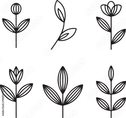 Minimalist floral illustrations with various leafy stems