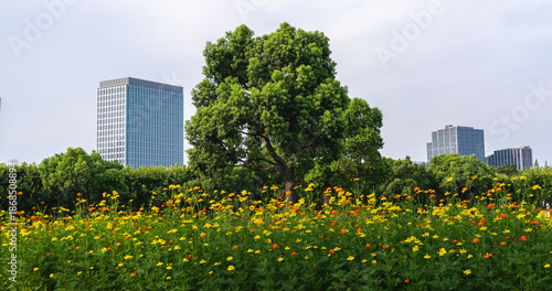 Wallpaper Mural tree in field Torontodigital.ca