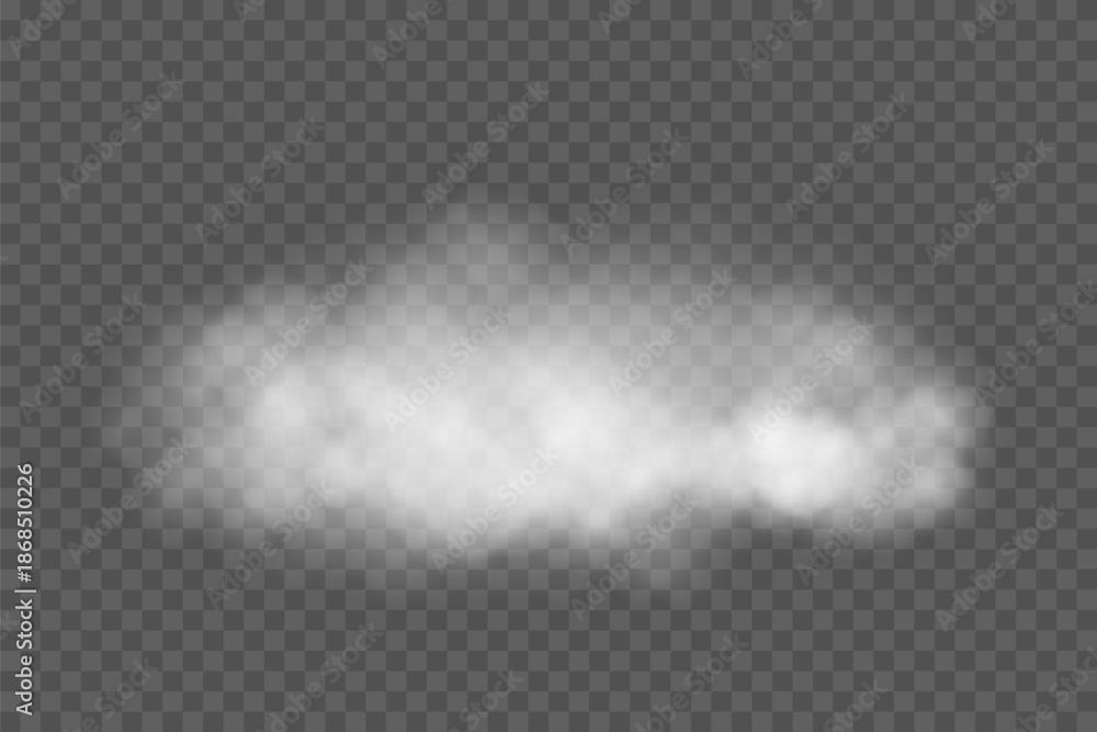 Fototapeta premium White cloud. Smoke shape on transparent background. Realistic fog texture with soft edges and natural diffusion. Atmospheric weather element. Realistic vector illustration.