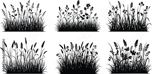 Grass, plant, silhouette, wild, flower, nature, botanical, black, vector, illustration, cad, drawing, flat, design, ecology, foliage, leaf, stem, bloom, species, outdoor, natural