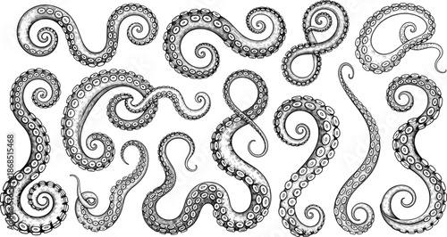 Hand-drawn octopus tentacles set, detailed marine illustration, curled cephalopod arms, underwater creature artwork, vintage engraving style elements