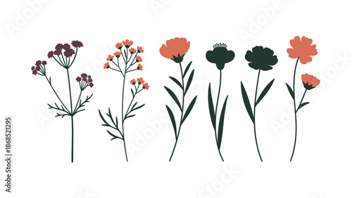 A minimalist set of six hand-drawn wildflowers and silhouettes in earthy, muted tones, perfect for modern rustic or boho designs.