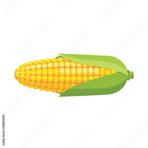 Fresh Yellow Corn on White Background