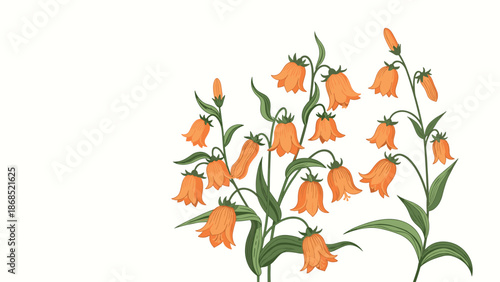 An elegant illustration of orange bellflower clusters with green leaves, hand-drawn in a vintage botanical style with copy space.