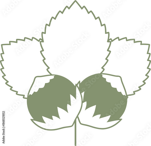 Green hazelnut with leaves icon for food packaging, label, emblem. Natural, organic, healthy nut snack concept. Simple vector illustration