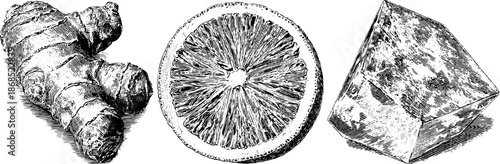 Vintage engraved illustration set of ginger root, citrus slice, and spice block for design and print