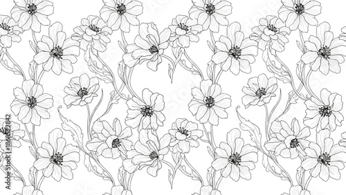 A beautiful seamless pattern of hand-drawn daisy flowers on intertwining stems, illustrated in a delicate black and white sketch style.