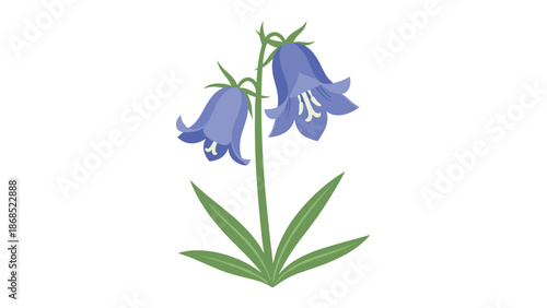 A simple and charming flat design illustration of a bluebell flower with two bell-shaped blossoms and long green leaves.