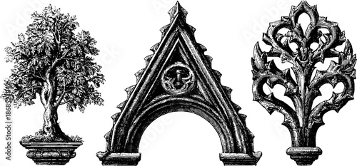 Gothic architecture elements and tree engraving set for historical design and art projects