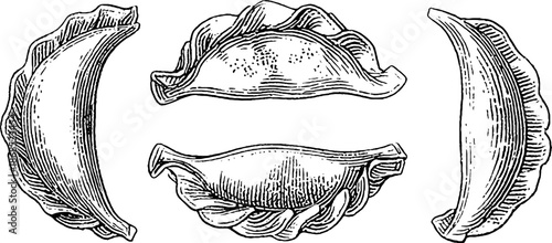 Vintage hand-drawn engraved gyoza dumplings trio illustration for culinary art and design