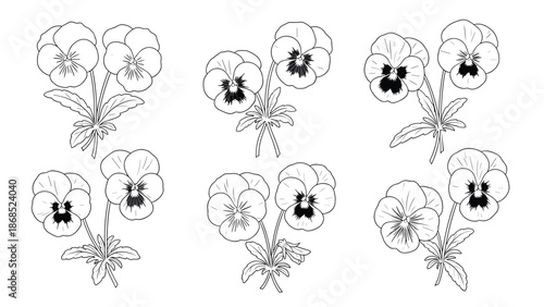 A collection of six pansy flower illustrations in a clean black and white line art style, perfect for coloring or design.