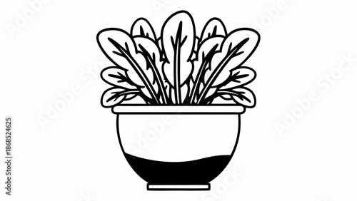 A potted plant with leaves in a simple illustration style