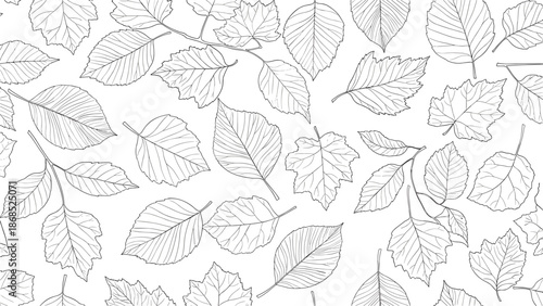 Seamless black and white pattern background featuring a variety of scattered, hand-drawn tree leaves in a clean outline style.