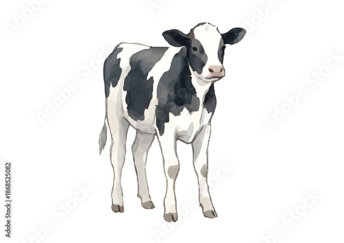 Watercolor-style dairy cow illustration／乳牛