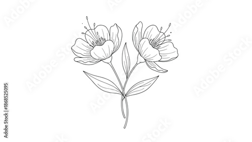A simple and elegant black and white line drawing of two delicate flowers on a single stem with leaves and dotted details.
