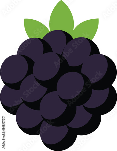 Ripe Blackberry Cluster Fresh Berries Transparent Background