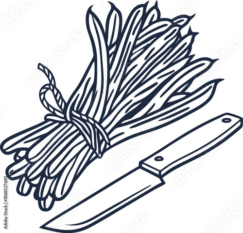bundle of string beans tied with rope next to a kitchen knife outline drawing
