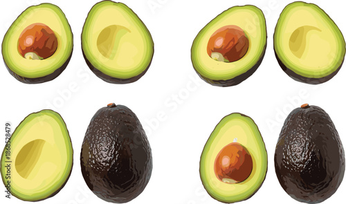 Fresh organic avocado halves and whole fruits, healthy vegan food ingredients, ripe green hass avocado, tropical nature produce vector illustration.